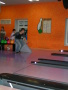 V�let d�t� na bowling11 height=